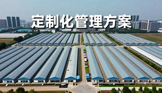 从市政工程应用看培训课程服务未来发展方向